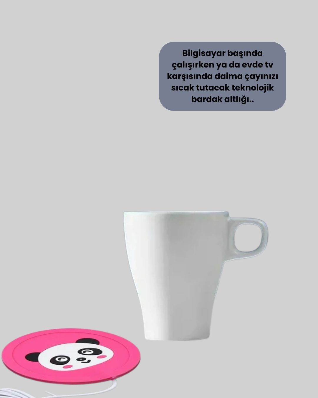 USB BARDAK ISITICI PANDA